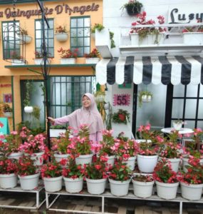 Taman Bunga Celosia, Salah satu objek wisata Bandungan, Kabupaten Semarang