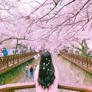 Pemandangan musim semi di Jepang